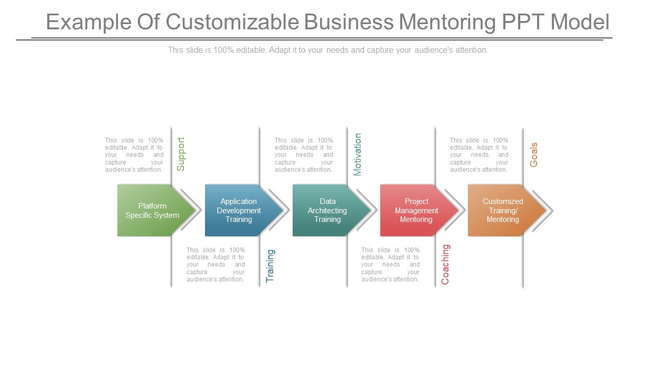 Example Of Customizable Business Mentoring Ppt Model