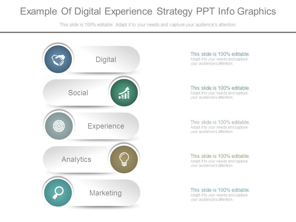 Example Of Digital Experience Strategy Ppt Info Graphics