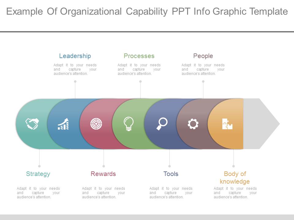 Example Of Organizational Capability Ppt Info Graphic Template