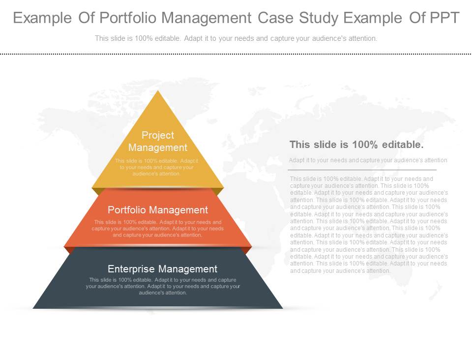 Example Of Portfolio Management Case Study Example Of Ppt