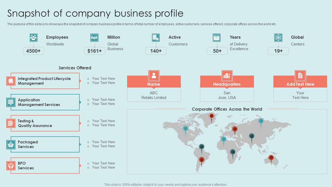 Executing Diversity Snapshot Of Company Business Profile Infographics PDF
