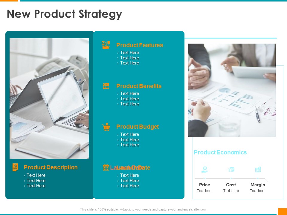 Executing Organization Commodity Strategy New Product Strategy Features Themes PDF