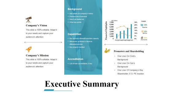 Executive Summary Ppt PowerPoint Presentation Ideas Example File