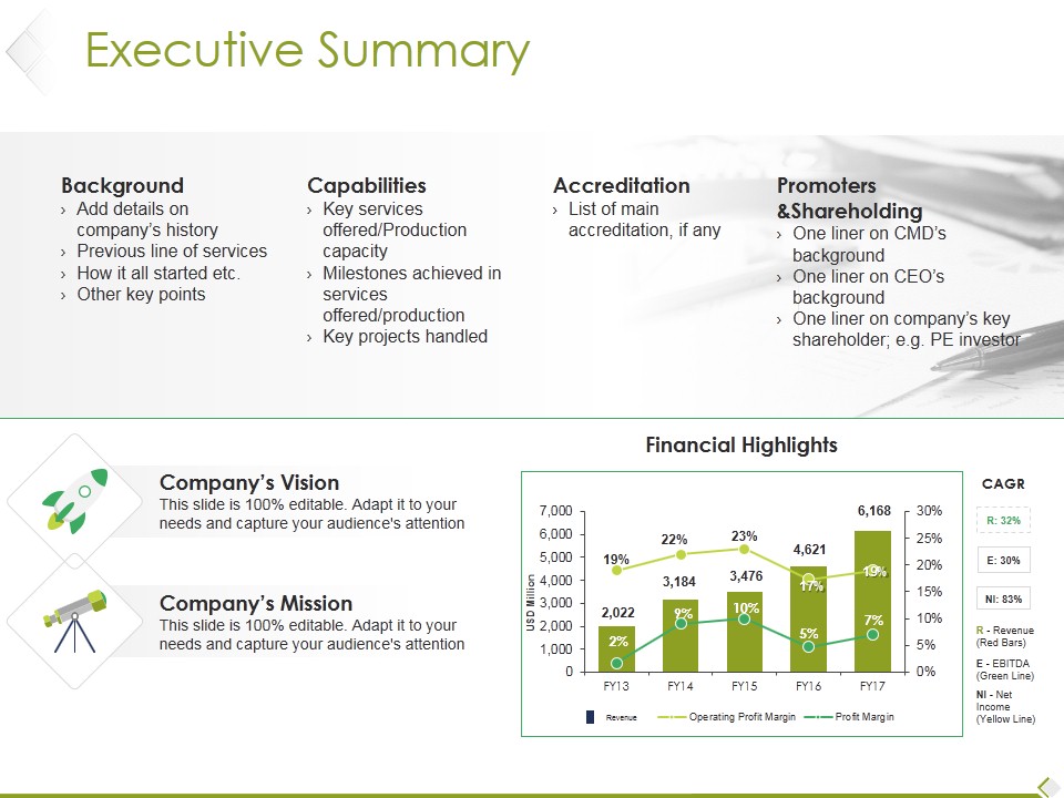 Executive Summary Ppt PowerPoint Presentation Model Show