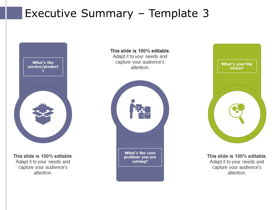 Executive Summary Template 3 Ppt PowerPoint Presentation Model Introduction