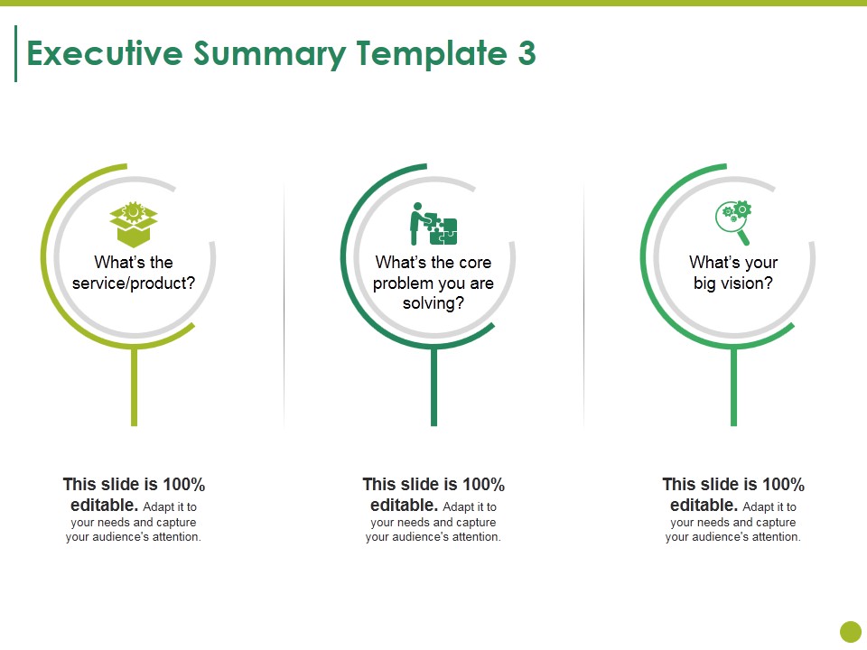 Executive Summary Template 3 Ppt PowerPoint Presentation Outline Infographics