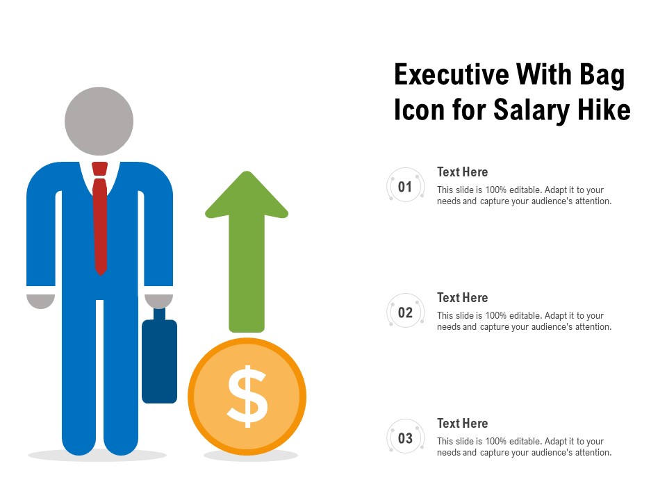 Executive With Bag Icon For Salary Hike Ppt PowerPoint Presentation Gallery Outline PDF
