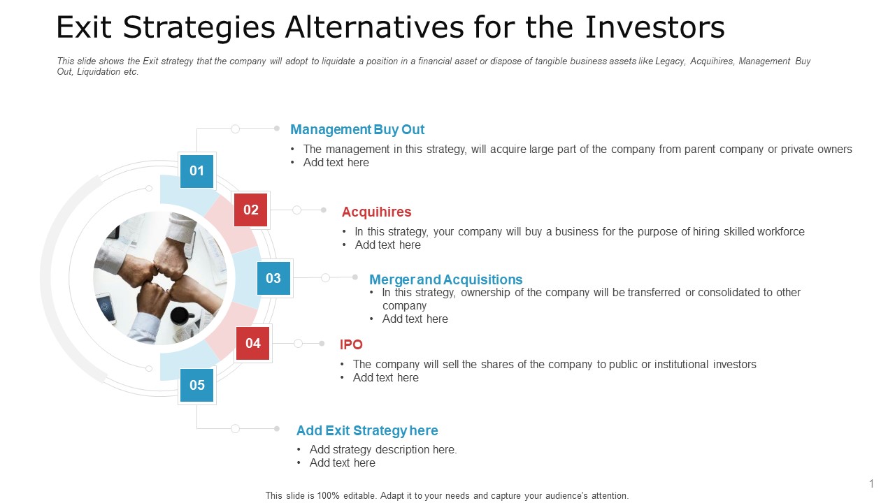 Exit Strategies Alternatives For The Investors Ideas PDF