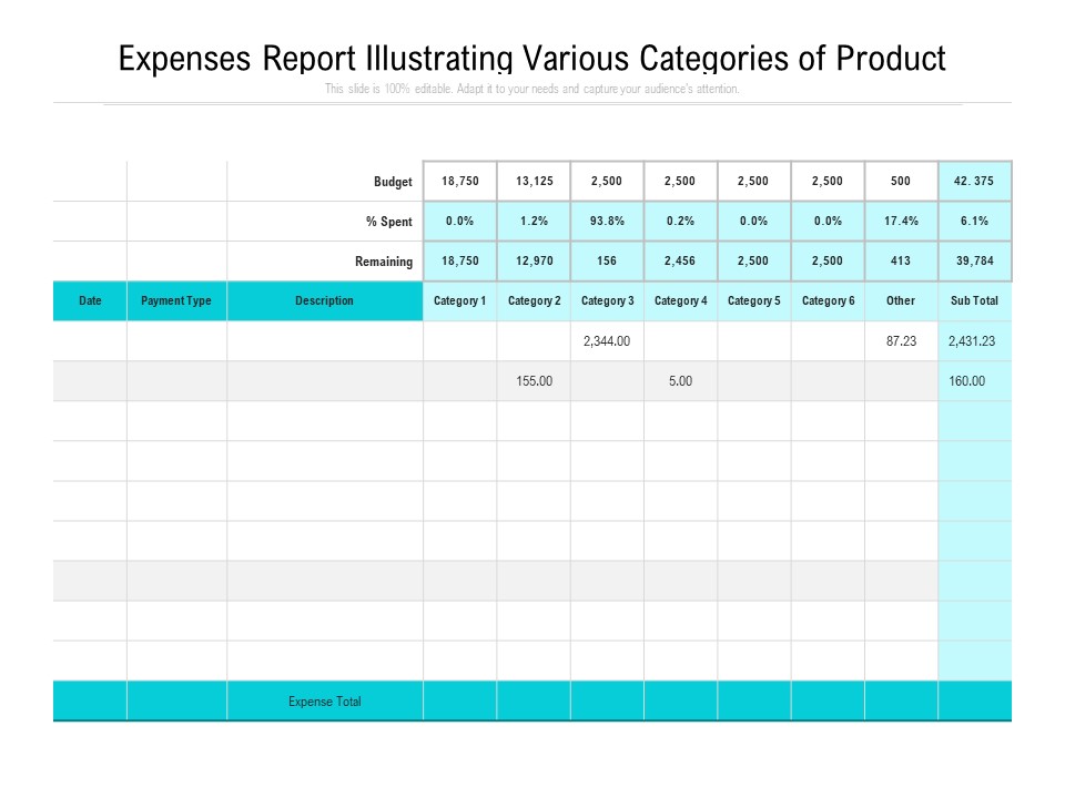 Expenses Report Illustrating Various Categories Of Product Ppt PowerPoint Presentation Gallery Influencers PDF