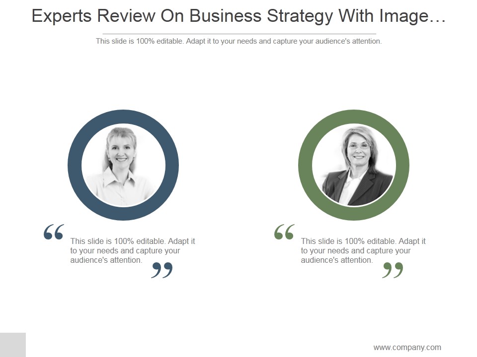 Experts Review On Business Strategy With Image Display Ppt PowerPoint Presentation Topics