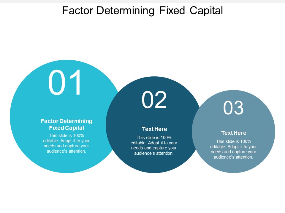 Factor Determining Fixed Capital Ppt PowerPoint Presentation Gallery Graphics Download Cpb