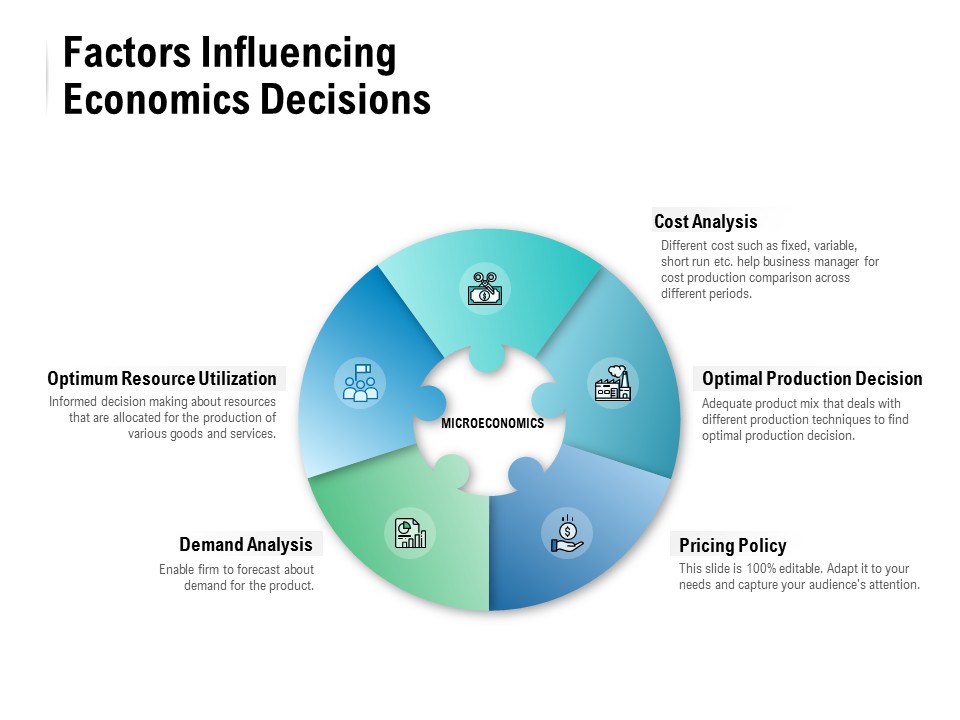 Factors Influencing Economics Decisions Ppt PowerPoint Presentation Inspiration Guide
