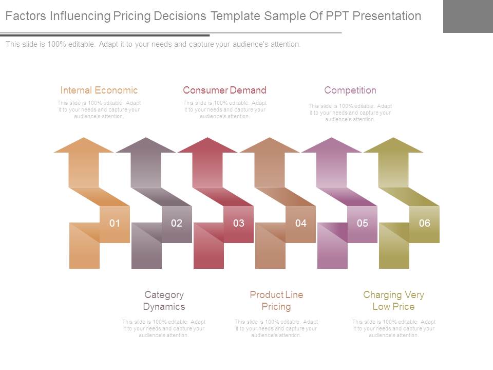 Factors Influencing Pricing Decisions Template Sample Of Ppt Presentation