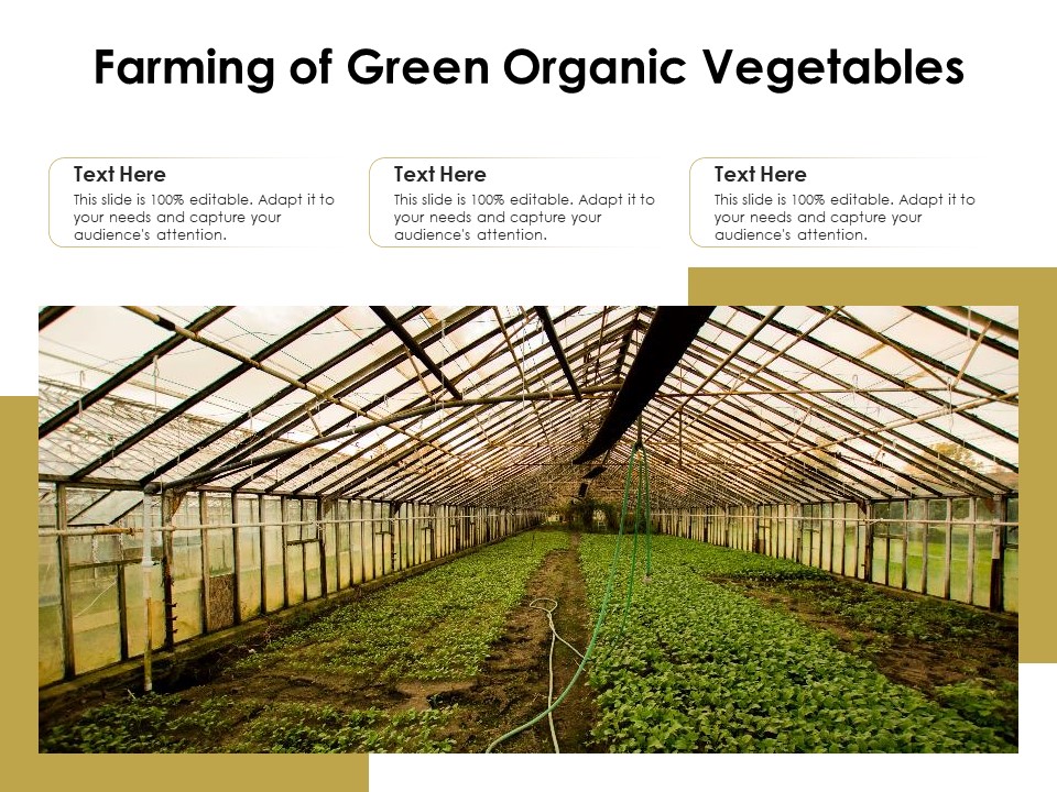 Farming Of Green Organic Vegetables Ppt PowerPoint Presentation Deck PDF