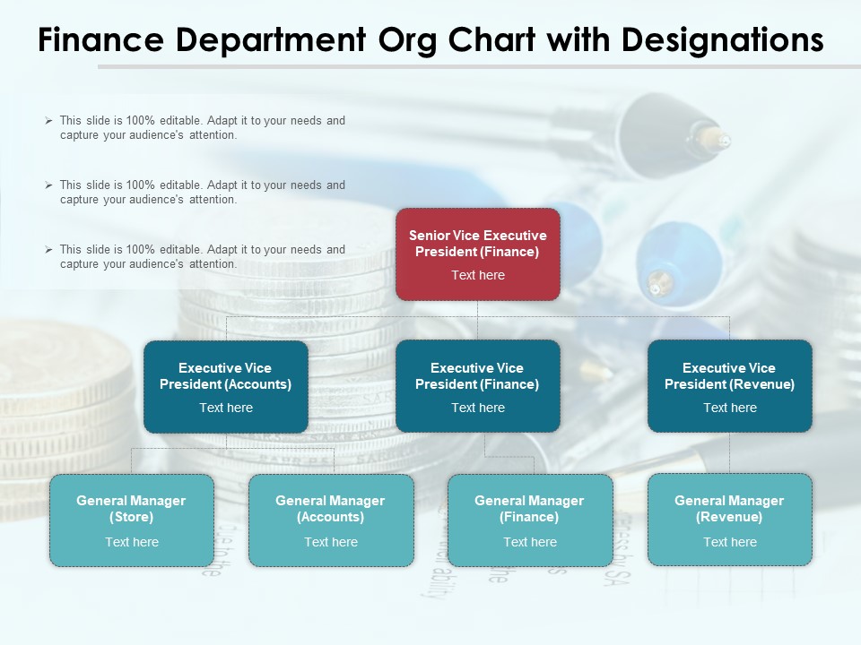Finance Department Org Chart With Designations Ppt PowerPoint Presentation Professional Show PDF
