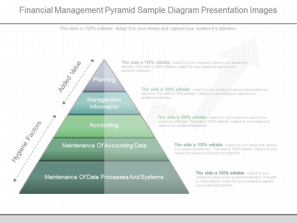 Financial Management Pyramid Sample Diagram Presentation Images
