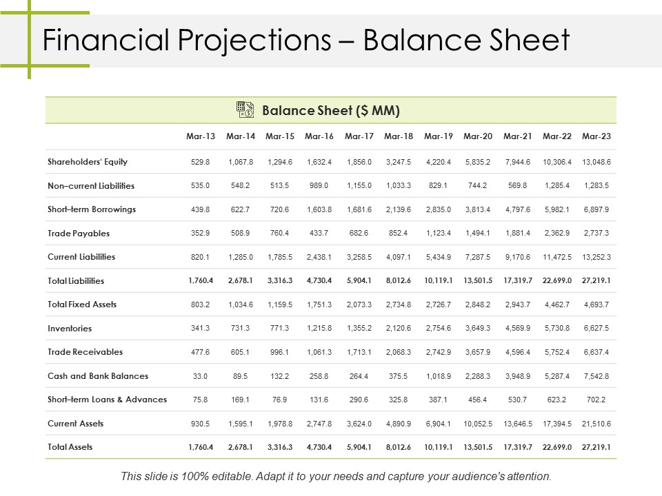 Financial Projections Balance Sheet Ppt PowerPoint Presentation Inspiration