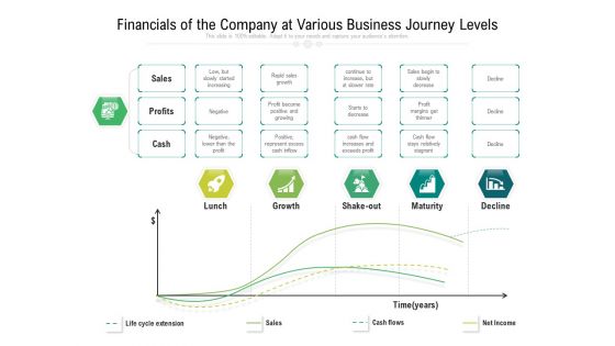 Financials Of The Company At Various Business Journey Levels Ppt PowerPoint Presentation File Portrait PDF
