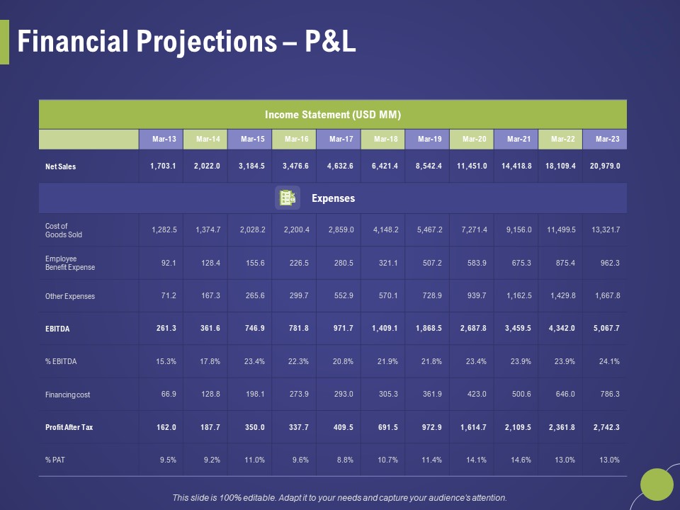 Firm Capability Assessment Financial Projections Pandl Ppt Summary Microsoft PDF