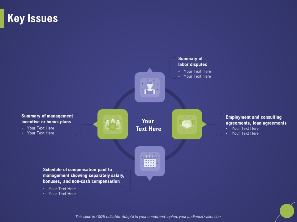 Firm Capability Assessment Key Issues Ppt Icon Background Images PDF