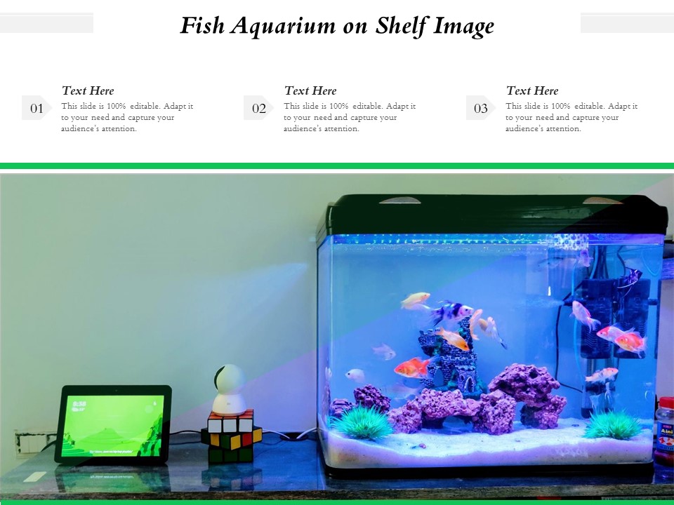 Fish Aquarium On Shelf Image Ppt PowerPoint Presentation Gallery Sample PDF