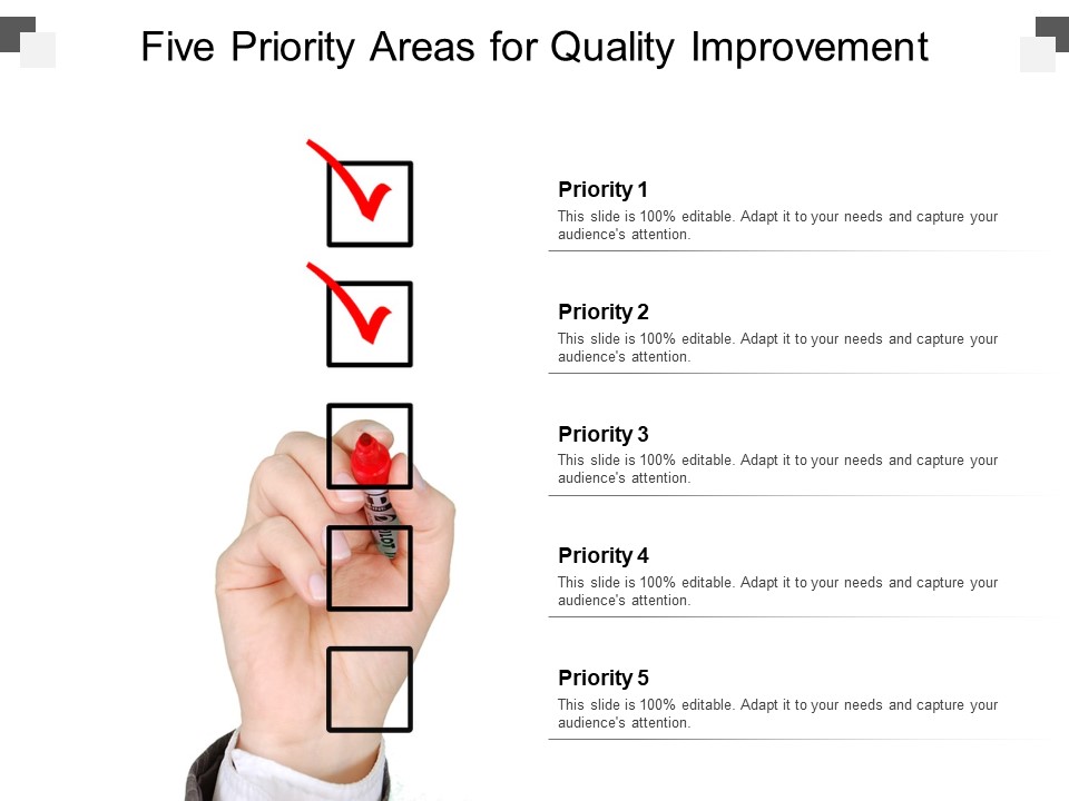 Five Priority Areas For Quality Improvement Ppt PowerPoint Presentation Inspiration Example