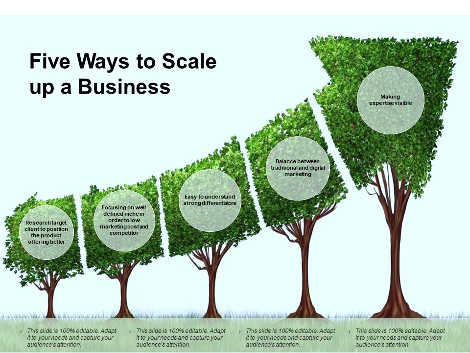 Five Ways To Scale Up A Business Ppt PowerPoint Presentation Ideas Elements