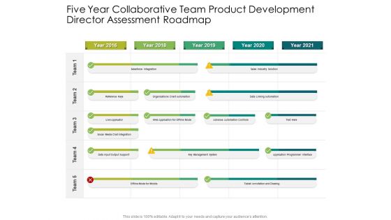 Five Year Collaborative Team Product Development Director Assessment Roadmap Infographics