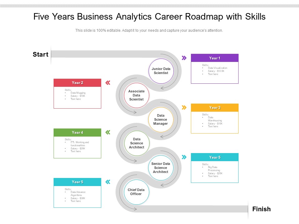 Five Years Business Analytics Career Roadmap With Skills Background