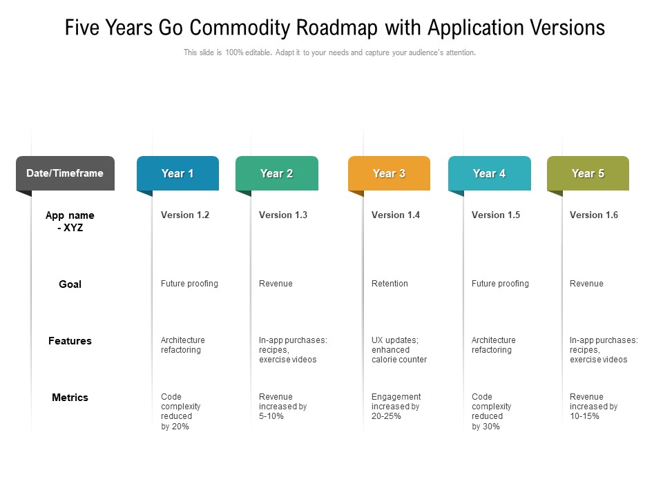 Five Years Go Commodity Roadmap With Application Versions Infographics