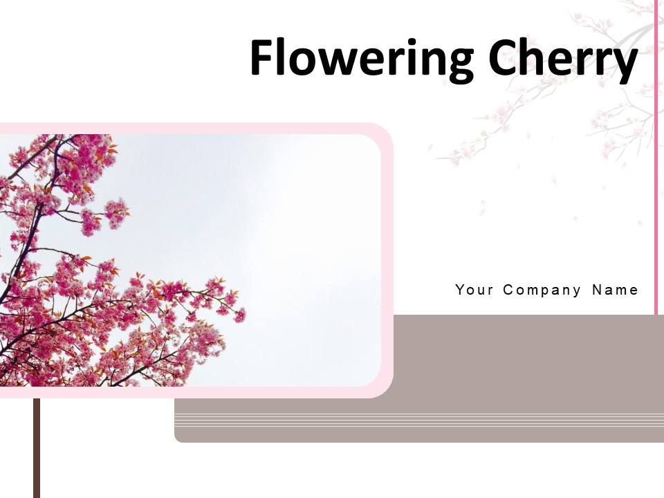 Flowering Cherry Bunch Flowers Single Flower Ppt PowerPoint Presentation Complete Deck