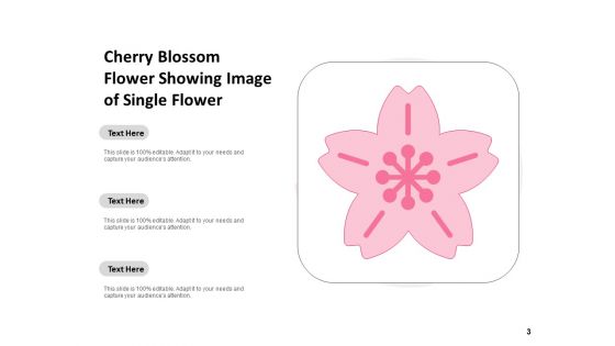 Flowering Cherry Bunch Flowers Single Flower Ppt PowerPoint Presentation Complete Deck