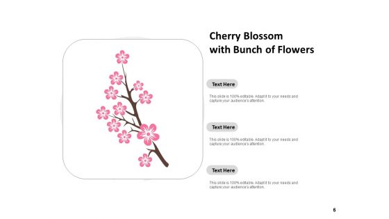 Flowering Cherry Bunch Flowers Single Flower Ppt PowerPoint Presentation Complete Deck