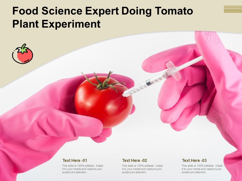 Food Science Expert Doing Tomato Plant Experiment Ppt PowerPoint Presentation File Images PDF