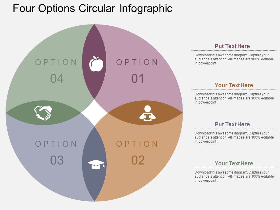 Four Options Circular Infographic Powerpoint Templates