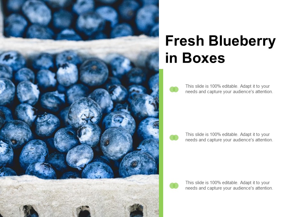 Fresh Blueberry In Boxes Ppt Powerpoint Presentation Layouts Visuals