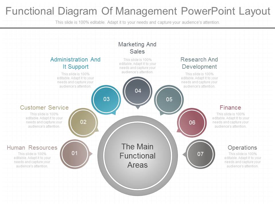Functional Diagram Of Management Powerpoint Layout