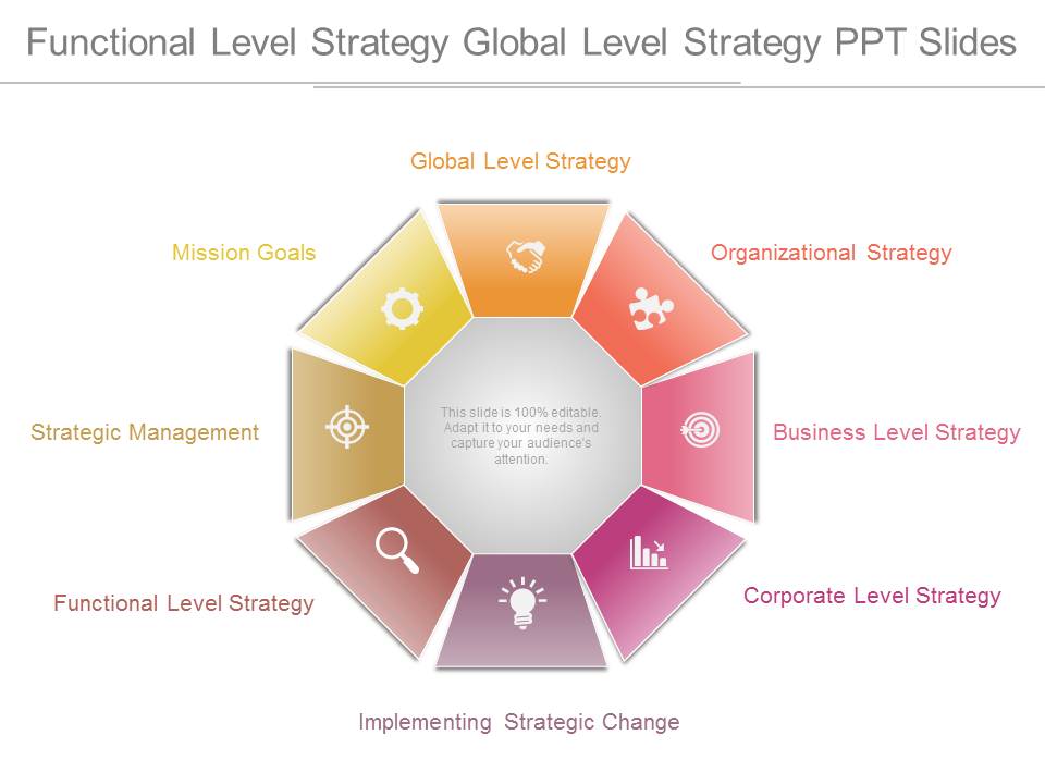 Functional Level Strategy Global Level Strategy Ppt Slides