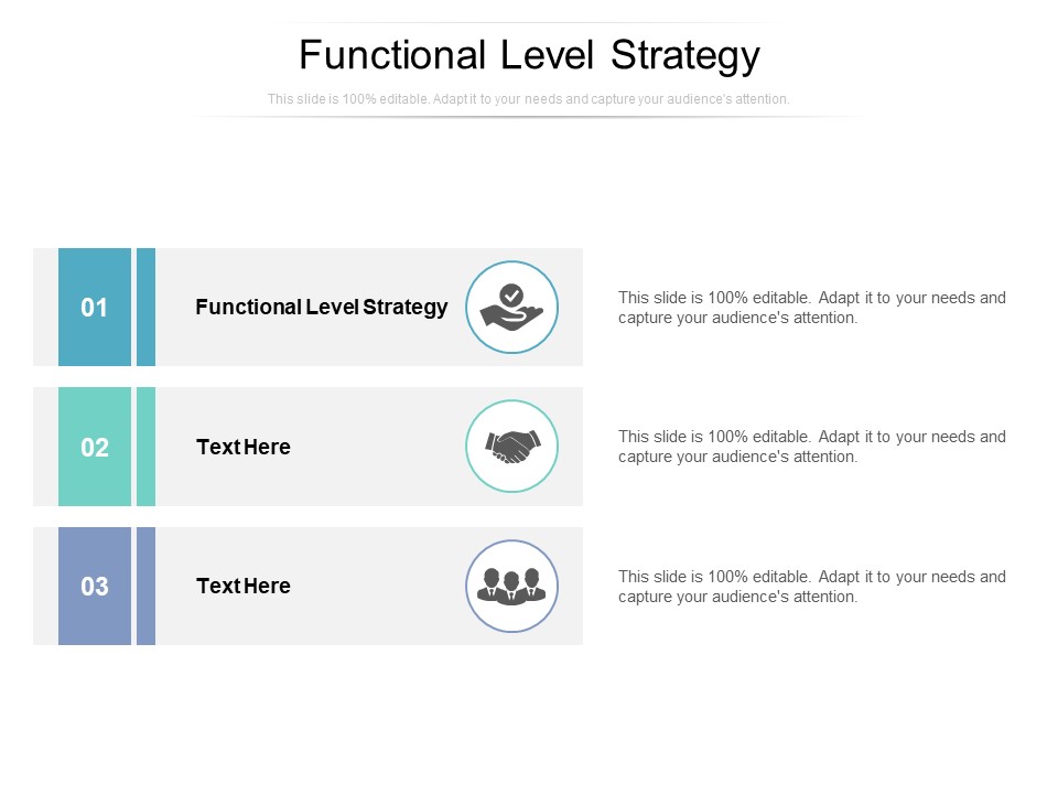 Functional Level Strategy Ppt PowerPoint Presentation Infographics Example Cpb