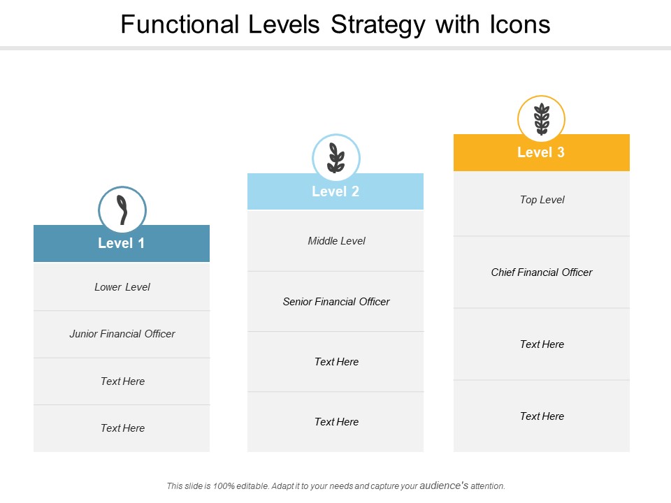 Functional Levels Strategy With Icons Ppt PowerPoint Presentation Infographic Template Aids