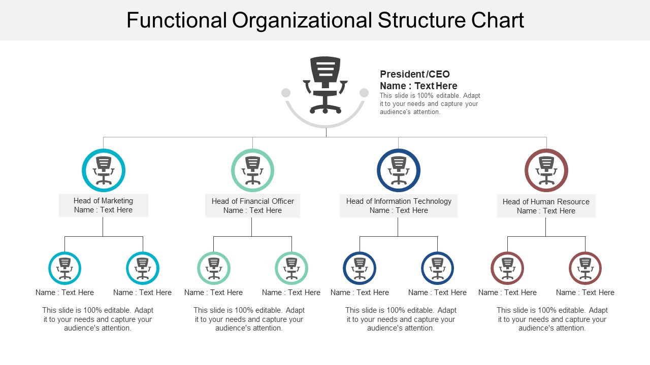 Functional Organizational Structure Chart Ppt PowerPoint Presentation Pictures Diagrams