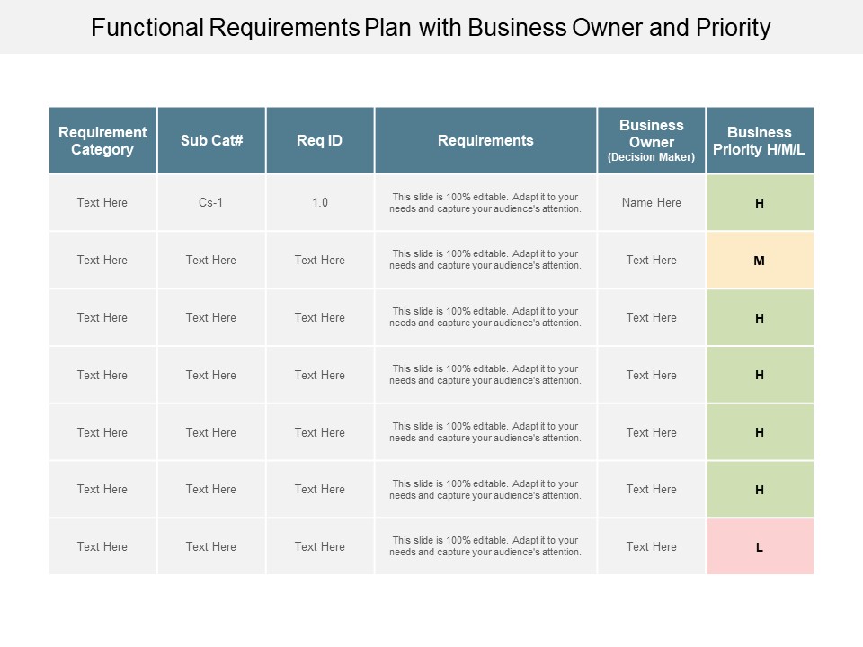 Functional Requirements Plan With Business Owner And Priority Ppt Powerpoint Presentation Summary Portrait