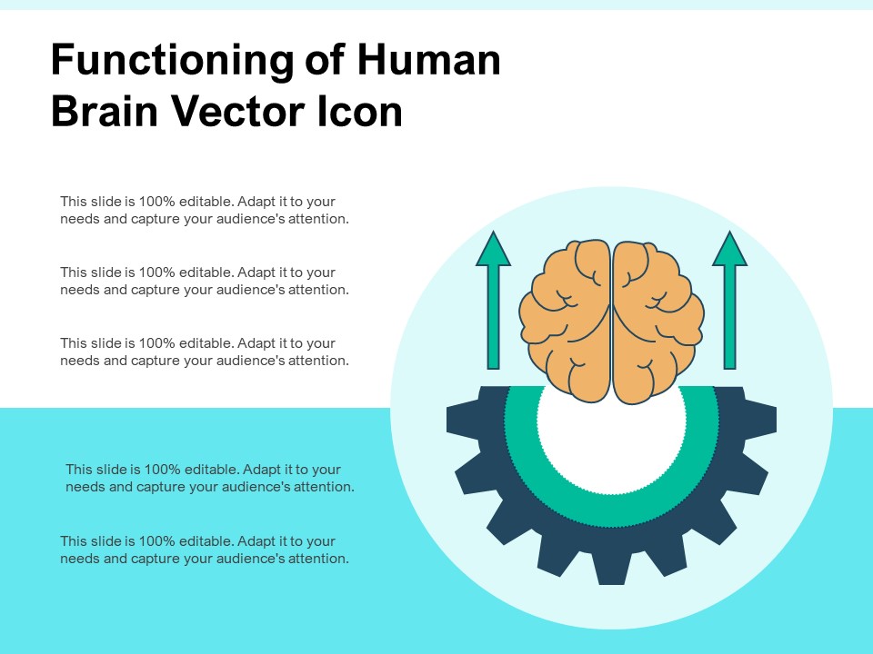 Functioning Of Human Brain Vector Icon Ppt PowerPoint Presentation Summary Slide Portrait