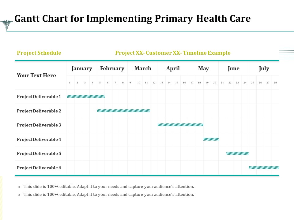 Gantt Chart For Implementing Primary Health Care Ppt Professional Graphics Design PDF