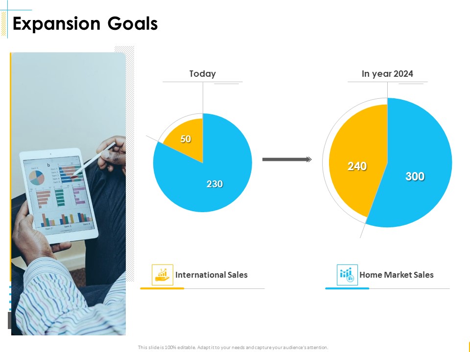 Global Organization Marketing Strategy Development Expansion Goals Structure PDF