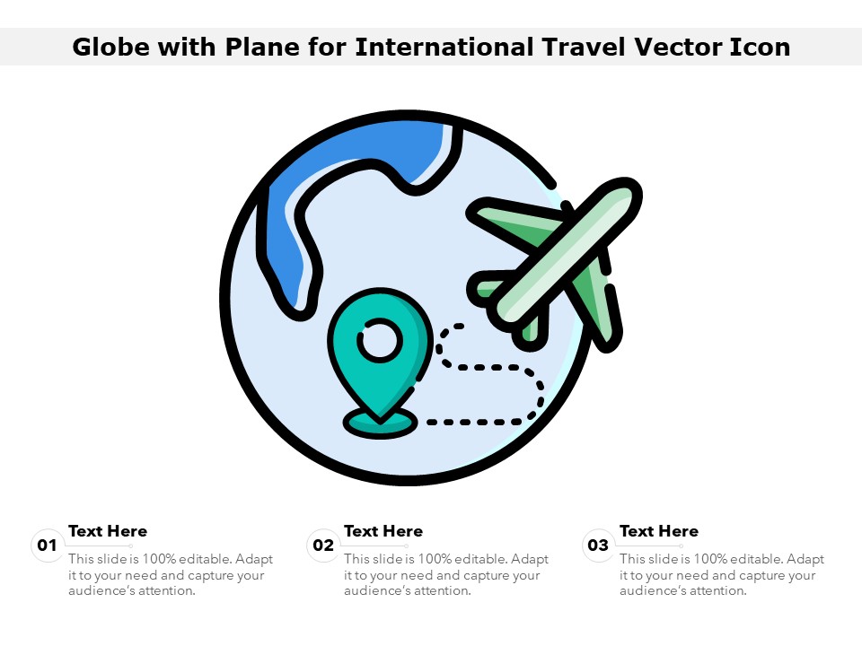 Globe With Plane For International Travel Vector Icon Ppt PowerPoint Presentation Gallery Master Slide PDF