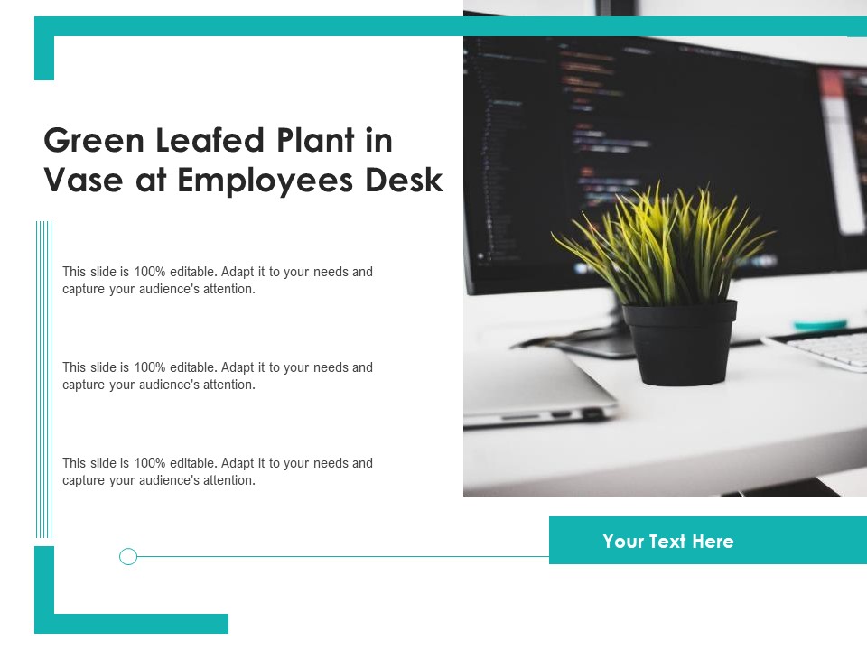 Green Leafed Plant In Vase At Employees Desk Ppt PowerPoint Presentation Outline Visuals PDF