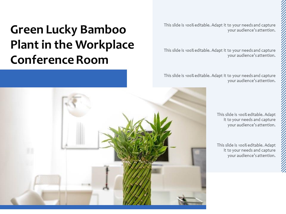 Green Lucky Bamboo Plant In The Workplace Conference Room Ppt PowerPoint Presentation Pictures Background Designs PDF