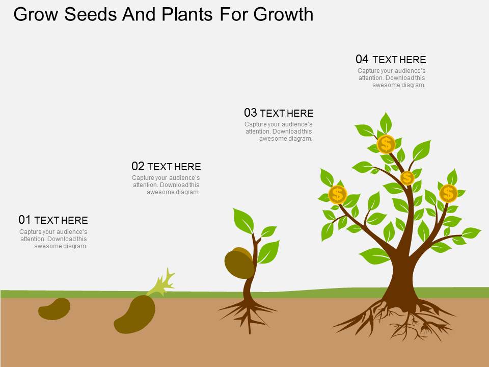 Grow Seeds And Plants For Growth Powerpoint Template