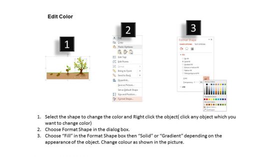Grow Seeds And Plants For Growth Powerpoint Template
